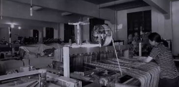 起起落落 老字號 細說毛紡廠這些年