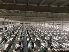 紡織服裝企業嚴重缺工，老板為何遲遲不愿“機器換人”？